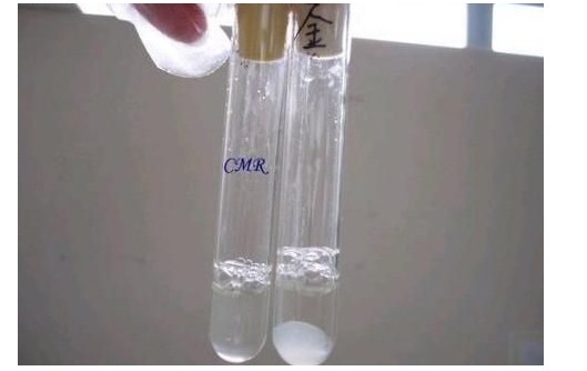 f2755a5e302a0d2a8b90374c6f45c5e5_jpg.jpg f2755a5e302a0d2a8b90374c6f45c5e5_jpg.jpg